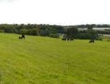 R1218 - Residential Development Land at Knowle Farm, Blackburn Road, Chorley, PR6 8TN