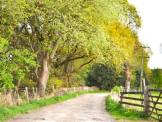 R1260 - Building Plot and paddock at Old Withnell Stables, Trigg Lane, Heapey, Chorley, PR6 9BZ