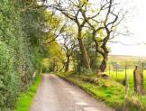 R1260 - Building Plot and paddock at Old Withnell Stables, Trigg Lane, Heapey, Chorley, PR6 9BZ