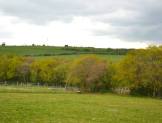 R1260 - Building Plot and paddock at Old Withnell Stables, Trigg Lane, Heapey, Chorley, PR6 9BZ