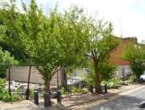R1274 - Residential Development Site, Between 37 - 39 Christ Church Street, Preston, PR1 8PH