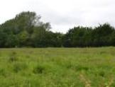 R1300 - Residential Development Land, Thorntree House, Wigan Road, Cuerden, Clayton Le Woods, Leyland, PR25 5SB