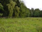 R1300 - Residential Development Land, Thorntree House, Wigan Road, Cuerden, Clayton Le Woods, Leyland, PR25 5SB