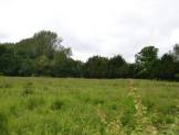 R1300 - Residential Development Land, Thorntree House, Wigan Road, Cuerden, Clayton Le Woods, Leyland, PR25 5SB