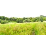 R1317 - Amenity/Equestrian Land at Froom Street, Chorley, PR6 9AR