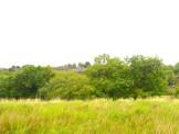R1317 - Amenity/Equestrian Land at Froom Street, Chorley, PR6 9AR