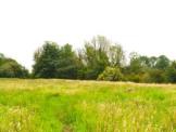 R1317 - Amenity/Equestrian Land at Froom Street, Chorley, PR6 9AR